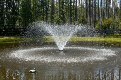 Residential Fountains Services - Your Local Fountain Experts