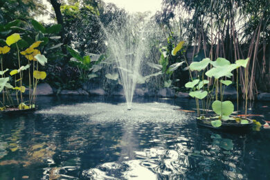 FLOATING POND FOUNTAIN REPAIR